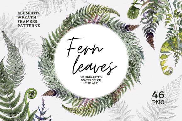 Download Green Fern Leaves Watercolor - Leaves Collection