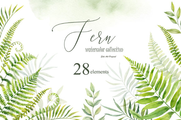 Download Fern Leaves Branches - Leaves Collection
