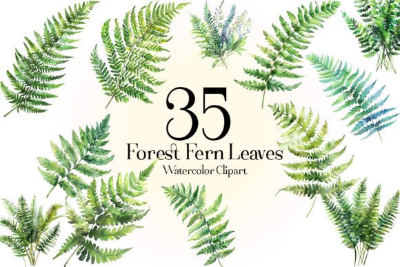 Download Forest Fern Leaves Clipart - Leaves Collection