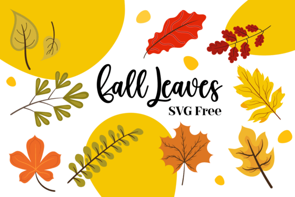 Download Fall Leaves SVG Free - Leaves Collection